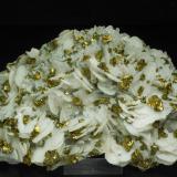 Calcite with Chalcopyrite and Pyrite<br />Boldut Mine, 61 level, ↓350 m, Cavnic mining area, Cavnic, Maramures, Romania<br />14.5 × 10 × 6.5 cm<br /> (Author: Jordi Fabre)