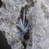 Antimonita<br />Minas de la Nazarena, Almuradiel, Mancomunidad Manserja, Ciudad Real, Castilla-La Mancha, España<br />grupo de cristales de 1cm x 0,5 cm<br /> (Autor: srm13151)