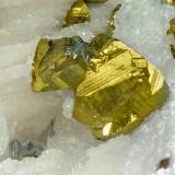 Calcopirita con Calcita<br />Mina Boldut, nivel 61, ↓350 m, zona minera Cavnic, Cavnic, Maramures, Rumanía<br />cristal mayor: 1.3 × 0.8 cm<br /> (Autor: Jordi Fabre)