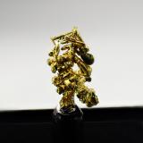Gold<br />Colorado Quartz Mine, Colorado, Colorado District, Mother Lode Belt, Mariposa County, California, USA<br />12 mm x 7 mm x 6 mm<br /> (Author: Don Lum)