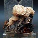 BaritinaMina María, Solana del Cabezo de Huércal, Sierra de Enmedio, Almendricos, Lorca, Comarca Alto Guadalentín, Región de Murcia (Murcia), España3.5 x 4 cm (Autor: Pedro Antonio)