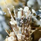 YuanfuliitaMinas Nuestra Señora del Carmen, La Celia, Jumilla, Comarca Altiplano, Región de Murcia (Murcia), España4 mm (Autor: Borja Sainz de Baranda)