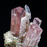 Hambergita<br />Stak Nala, Montes Haramosh, Distrito Skardu, Gilgit-Baltistan (Áreas del Norte), Paquistán<br />8 mm<br /> (Autor: Borja Sainz de Baranda)