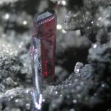 Proustita<br />Mina Las Cruces, Gerena-Guillena-Salteras, Comarca Sierra Norte, Sevilla, Andalucía, España<br />Cristal 1 cm<br /> (Autor: Cesar M. Salvan)