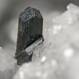 Calcosina<br />Mina Las Cruces, Gerena-Guillena-Salteras, Comarca Sierra Norte, Sevilla, Andalucía, España<br />Cristal 0.7 cm<br /> (Autor: Cesar M. Salvan)