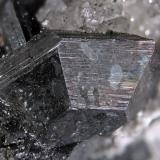 Calcosina<br />Mina Las Cruces, Gerena-Guillena-Salteras, Comarca Sierra Norte, Sevilla, Andalucía, España<br />Cristal 1.5 cm<br /> (Autor: Cesar M. Salvan)