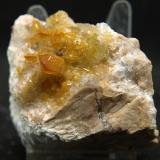 Celestina<br />Cantera Cabezoncillo, Cabeçonet/Alto del Salmitre, Municipio Busot, Comarca Campo de Alicante, Alicante / Alacant, Comunidad Valenciana / Comunitat Valenciana, España<br />6 x 5.5 cm<br /> (Autor: Pedro Antonio)