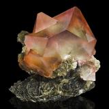 Fluorite on Mica (Group)<br />Chumar Bakhoor, Hunza Valley, Nagar District, Gilgit-Baltistan (Northern Areas), Pakistan<br />17 x 14 x 10 cm / main crystal: 10.4 cm<br /> (Author: MIM Museum)