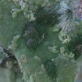 Goldhillita sobre conicalcita<br />Mina Trípoli, Barranco del Cura, Huércal de Almería, Comarca Metropolitana de Almería, Almería, Andalucía, España<br />Campo de visión de  5 mm.<br /> (Autor: Antonio Carmona)