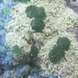 Goldhillita y crisocola<br />Mina Trípoli, Barranco del Cura, Huércal de Almería, Comarca Metropolitana de Almería, Almería, Andalucía, España<br />Campo de visión de  5 mm.<br /> (Autor: Antonio Carmona)