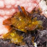 Shigaita con Rodocrosita y Siderita<br />Mina N'Chwaning I, Zona minera N'Chwaning, Kuruman, Kalahari manganese field (KMF), Provincia Septentrional del Cabo, Sudáfrica<br />cristal principal: 0.7 × 0.5 cm<br /> (Autor: Jordi Fabre)