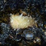 CobaltarthuritaConcesión La Reconquistada, Pastrana, Mazarrón, Comarca Alto Guadalentín, Región de Murcia (Murcia), EspañaGrupo de cristales de 5 mm. (Autor: Antonio P. López)