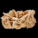 Gypsum (variety desert rose)Douz, Gobernación de Kibili, Grand Erg Oriental, Túnez120 mm x 60 mm x 60 mm (Author: Dany Mabillard)