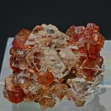Pyrosmalite, Fluorite<br />Broken Hill, Yancowinna County, New South Wales, Australia<br />1.8 x 1.5 x 1.0 cm<br /> (Author: am mizunaka)