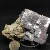 Galena<br />Mina Buick, Bixby, Distrito Viburnum Trend, Condado Iron, Missouri, USA<br />8 cm<br /> (Autor: Cesar M. Salvan)