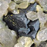 Uraninita<br /><br />cristal 0.5 cm<br /> (Autor: Cesar M. Salvan)