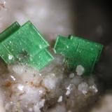 Torbernita<br />Mina El Berrocal, Casas del Berrocal, Aldea En Cabo, Comarca Torrijos, Toledo, Castilla-La Mancha, España<br />FOV 1.2 cm<br /> (Autor: Cesar M. Salvan)