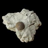 PyriteVerzino, Verzino, Provincia di Crotone, Calabria, Italy64 mm x 54 mm x 34 mm (Author: Dany Mabillard)