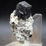 Andradita (Grupo Granate)Mina San Antonio, Cehegín, Comarca Noroeste, Región de Murcia (Murcia), España5.5 x 3 cm (Autor: Pedro Antonio)