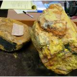 Uranium Specimens in storage at the AMNH

On the right is a 60 kg specimen of Uraninite with Schoepite from Pick&rsquo;s Delta Mine, San Rafael Swell Mining District, Emery County, Utah, USA.  It is the same specimen shown in the earlier picture which featured Dr. Brian H. Mason. Just look again at that deliciously thick layer of Schoepite with some Uraninite just visible in the lower right hand corner – superb!

On the left is a 15 kg specimen of Uraninite with Schoepite from the Lookout No. 22 claim, Marshall Pass, Saguache County, Colorado, USA. Both specimens are now in storage at the AMNH (Photo courtesy of AMNH) (Author: silvia)