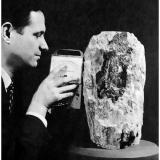 Uraninite at the AMNH – The American Connection

Included for comparison is a photograph of what might be the third largest Uraninite specimen to be publically exhibited in recorded history. The specimen weighed just over 60 kilograms and consisted of an inner core of Uraninite covered in a ‘deliciously’ thick layer of Schoepite. It was exhibited for many years at the American Museum of Natural History (AMNH). In the photograph Dr. Brian H. Mason (1917-2009) Curator of the Department of Physical Geology and Mineralogy at the Museum (1953-1965) can be seen measuring the radiation from the superb specimen. The specimen was donated to the AMNH in 1955 by Vernon J. Pick and it came from the Pick&rsquo;s Delta Mine, San Rafael Swell Mining District, Emery County, Utah, USA.  What a fine specimen to have in a private collection – the mineralogical stories it could tell and the secrets it could reveal – truly amazing and absolutely beautiful! 

I think some folks might find the following piece of historical trivia interesting. Dr. Mason was an expert on meteorites and was the first scientist to suggest that some meteorites found in Antarctica were in fact moon rocks. Between 1962 and 1965 Dr. Mason took part in several Australian-American expeditions to the clay pans in central South Australia in search of Australites (Tektites). The Australian team was led by R.O Chalmers, Curator of Minerals at the Australian Museum and the man largely responsibility for the acquisition of the fantastic specimen of Uraninite from El Sherana. Dr. Mason also had two minerals named in his honour, Brianite a Sodium-Calcium-Magnesium phosphate mineral (Na2CaMg(PO4)2) and Stenhuggarite a rare Calcium-Iron-Antimony mineral (CaFeAs2SbO7). The mineral name Stenhuggarite is a clever use of the Swedish word Stenhuggare for stonemason honouring Dr. Mason’s work as the proverbial stone man. Asteroid 12926 Brianmason is also named in his honor. In 1965 he became Curator of Meteorites in the Department of Mineral Sciences at the Smithsonian Institution in Washington, retiring in 1984. (Photo courtesy of B. Kramer). (Author: silvia)