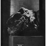 El Sherana Uraninite at the Australian Museum

Between 1961 and 1983 the Sydney based ‘Australian Museum’ proudly exhibited a huge specimen of El Sherana Uraninite. At the time it was the largest specimen of Uraninite ever recovered, and weighed approximately 850 kilograms. It measured 48 cm high and 46 cm wide. The specimen was recovered at El Sherana in May 1956. The potential radiation threat from this superbly wonderful and scientifically priceless specimen was thoroughly assessed by Health and Safety experts from the New South Wales Health Department. These experts stated and I quote “after measuring the amount of radiation from this big specimen, to obtain the maximum permissible dosage a member of the public would have to stand on the spot from where the specimen can be viewed for half an hour every day for the rest of his life. Therefore, the amount of radiation received by any member of the public from casual viewing is quite negligible.” – End of quote. As an additional precaution an exhaust fan was installed in the outside wall behind the specimen to remove the small amount of Radon emitted from the outer most surface (ca. 1-2 mm) of the specimen. 

Sometime in the early 1980’s The Australian Museum gave the specimen to ANSTO for safe keeping at their Lucas Heights facility. According to ANSTO and its regulatory partner ARPANSA, the current location of the specimen is unknown. 

Another similar, but smaller, specimen of Uraninite from El Sherana was displayed in the British Museum in London, but its current whereabouts is also unknown. 

El Sherana Uraninite was dated at about 1800 Ma.

Before the El Sherana specimen was recovered, the previous weight record for a single specimen of Uraninite was held by the Shinkolobwe Mine in the Katanga Province of the Democratic Republic of the Congo. The Shinkolobwe specimen weighed 750 kilograms.  (Original Photo courtesy of R. Chalmers) (Author: silvia)