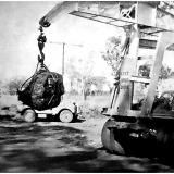 Uraninite being loaded

El Sherana yielded the largest single piece of Uraninite ever produced in the world. It weighed 850 kilograms (1,856 pounds). It was recovered at the El Sherana mine in May 1956. The specimen was purchased by the Australian Atomic Energy Commission for exhibition in Sydney. In the photo the specimen has been hoisted with the aid of a portable crane for loading into a suitable transport vehicle. (Original photo courtesy of F. Jones) (Author: silvia)