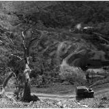 El Sherana West Photo

El Sherana West Open cut ca. 1963. The small open cut was set in some very steep terrain. Clearly visible in the background is the adit leading to the incline shaft which accessed the lower levels from which the bulk of the high grade Uraninite ore was extracted. In the foreground is a jeep bearing the logo of the United Uranium N.L. Company. (Photo courtesy of N. Murphy) (Author: silvia)