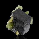 Magnetite with Forsterite (variety peridot)Naran, Valle Kaghan, Distrito Mansehra, Jaiber Pastunjuá, Paquistán6 x 5 x 6 cm / main crystal: 4.9 cm. (Author: MIM Museum)