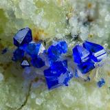Callaghanita<br />Mina Sierra Magnesite (Mina Premier Chemicals), Gabbs, Distrito Gabbs, Condado Nye, Nevada, USA<br />1 mm<br /> (Autor: Borja Sainz de Baranda)