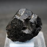 granate andradita<br />Mina San Antonio, Cehegín, Comarca Noroeste, Región de Murcia (Murcia), España<br />3.5 x 3.5 cm<br /> (Autor: Pedro Antonio)