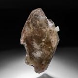 Quartz (variety smoky quartz), HydroxylherderiteTopsham, Condado Sagadahoc, Maine, USA8.3 x 5.0 cm (Author: am mizunaka)