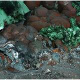 Malachite after Azurite on Goethite<br />Milpillas Mine, Cuitaca, Municipio Santa Cruz, Sonora, Mexico<br />13 cm x 7 cm x 4 cm<br /> (Author: silvia)