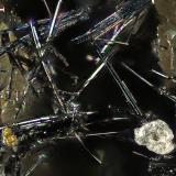 Stibnite<br />Antimonmine Goesdorf Mine, Goesdorf, Wiltz Canton, Luxembourg<br />< 1 mm<br /> (Author: Roger Warin)