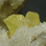 Azufre, calcitaMinas de Azufre, La Serrata, Lorca, Comarca Alto Guadalentín, Región de Murcia (Murcia), España0,5 x 0,3 cm (grupo cristales) (Autor: Frederic Varela)