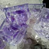 Fluorite on QuartzZona minera de Berbes, Berbes, Ribadesella, Comarca Oriente, Principado de Asturias (Asturias), Españamain crystal size: 0.6 × 0.5 cm (Author: Jordi Fabre)