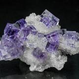 Fluorite on QuartzZona minera de Berbes, Berbes, Ribadesella, Comarca Oriente, Principado de Asturias (Asturias), España4.2 × 2.8 × 1.4 cm (Author: Jordi Fabre)