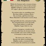 AN ODE TO MILPILLAS – OH MILPILLAS!


The Milpillas Mine stands as a powerful testament to the remarkable capabilities and unwavering dedication of the Mexican people and their industry. Far more than just a mining operation, it represents the successful creation of a world-class facility, born from a blend of innovative engineering, strategic vision, and sheer determination.

From the outset, the project faced formidable challenges. The Milpillas deposit, rich in high-grade Copper, was hidden beneath a significant overburden of water-saturated alluvial sediments, demanding sophisticated and persistent efforts to access and extract the valuable ore. This wasn’t a simple excavation; it required a deep understanding of complex geology and the implementation of cutting-edge underground mining techniques. The Mexican teams, led by companies like Industrias Peñoles, rose to this challenge with exceptional skill and ingenuity.

Their ingenuity was evident in every phase of the mine’s development and operation. Overcoming severe flooding issues, they deployed efficient pumping systems that not only kept the project on track but also demonstrated a commitment to environmental responsibility. Furthermore, the continuous optimization of operational efficiency dramatically improved equipment availability and reduced maintenance downtime. This meticulous attention to detail, leading to increased safety for personnel and significant cost reductions, showcases a culture of continuous improvement and operational excellence.

Beyond the technical prowess, Milpillas also embodies a forward-thinking approach to sustainability. The integration of a large solar thermal plant to power the mine, replacing diesel and significantly reducing carbon emissions, positioned Milpillas as a global reference in renewable energy use within the mining sector. This demonstrated a profound commitment to responsible resource management and a proactive stance on environmental stewardship.

The mine’s success wasn’t just measured in Copper cathodes produced, but also in the world-renowned mineral specimens it yielded, attracting global attention to Mexico’s rich mineralogical heritage. This dual achievement — economic output and scientific contribution — underscores the comprehensive excellence achieved at Milpillas.

In essence, the Milpillas Mine is a vibrant example of how Mexican industry, through its skilled workforce, visionary leadership, and embrace of advanced technology, can transform complex geological challenges into a highly efficient, sustainable, and globally recognized mining enterprise. It stands as a proud symbol of the Mexican people, their diligence and their industrial achievement on the world stage. (Author: silvia)