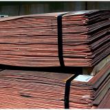 REFINED COPPER CATHODES

Like most modern Copper mines, Milpillas produced large, high-purity "Grade A cathodic Copper" sheets, adhering to LME (London Metal Exchange) and ATSM standards (American Society for Testing and Materials). These sheets commonly measured around 914mm x 914mm (36" x 36") with a thickness of about 12mm (0.5") and bundled in stacks of 50 sheets as shown in photograph. Each sheet weighed approximately 90 kilograms (198 pounds), making them efficient to handle and transport in industrial quantities. 

Grade “A” cathodic Copper sheets, are the purest form of commercially traded Copper, typically boasting a minimum purity of 99.99%. The physical properties of Grade “A” cathodic Copper sheets are directly linked to their high purity. They exhibit exceptional electrical conductivity, second only to silver, making them indispensable for electrical wiring, cables, and electronic components. They also possess high thermal conductivity, crucial for heat exchangers and refrigeration. Furthermore, these sheets are highly malleable and ductile, allowing them to be easily shaped, drawn into fine wires, or rolled into thin sheets without fracturing. They are also corrosion-resistant, particularly in atmospheric and aqueous environments, due to the formation of a protective oxide layer. Their uniform rectangular shape and consistent composition simplify industrial handling and processing.

Original photos courtesy of Dagoberto Flores (Author: silvia)