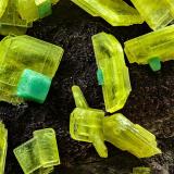Saléeita, metatorbernitaIntermedia-María Lozano Mine, Hoya del Lobo, La Haba, Comarca La Serena, Badajoz, Extremadura, Spain5 mm (Autor: Borja Sainz de Baranda)