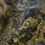 Escorodita sobre turmalina.<br />Mina San Antonio, Los Llanos de Villaralto, Villaralto, Comarca Los Pedroches, Córdoba, Andalucía, España<br />Campo de visión de  3 mm.<br /> (Autor: Antonio Carmona)