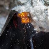 Joaquinite-(Ce) on Neptunite and with Benitoite and Natrolite<br />California State Gem Mine (Benitoite Gem Mine), San Benito River headwaters area, Santa Rita Peak, New Idria District, San Benito County, California, USA<br />main crystal: 2 × 0.6 cm<br /> (Author: Jordi Fabre)