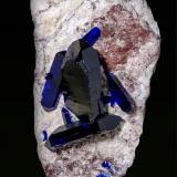 Azurita<br />Mina Milpillas, Cuitaca, Municipio Santa Cruz, Sonora, México<br />50 x 30 mm<br /> (Autor: Borja Sainz de Baranda)