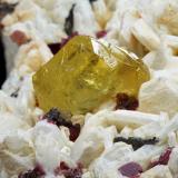 Londonita en Albita y Fluor-liddicoatita<br />Cantera Antsahanana, Valle Sahatany (Mt. Ibity), Distrito Antsirabe II, Región Vakinankaratra, Madagascar<br />9.5 x 6 x 3 cm / Cristal principal: 2.1 cm.<br /> (Autor: Museo MIM)