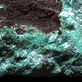 Auricalcita<br />Mina Ojuela, Mapimí, Municipio Mapimí, Durango, México<br />75x50x30 mm.<br /> (Autor: Luis Edmundo Sánchez Roja)