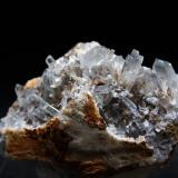 CelestinaLagunas de Rabasa, Alicante/Alacant, Comarca Campo de Alicante, Alicante / Alacant, Valencian Community / Comunitat Valenciana, Spain9 x 6.5 cm (Autor: Pedro Antonio)