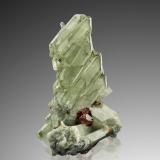 Diopside with Grossular (variety hessonite)Testa Ciarva, Balme, Val d'Ala, Valles Lanzo (Valli di Lanzo), Provincia Ciudad metropolitana de Turín, Piamonte (Piemonte), Italia3.5 x 5 x 8 cm / main crystal: 5.1 cm. (Author: MIM Museum) Diopside with Grossular (variety hessonite)Testa Ciarva, Balme, Val d'Ala, Valles Lanzo (Valli di Lanzo), Provincia Ciudad metropolitana de Turín, Piamonte (Piemonte), Italia3.5 x 5 x 8 cm / main crystal: 5.1 cm. (Author: MIM Museum)