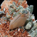Titanite with Diopside and Grossular (variety hydrogrossular)Bellecombe, Châtillon, Valle de Aosta (Val d'Aosta), Italia9.5 x 6 x 4 cm / main crystal: 2.3 cm. (Author: MIM Museum)