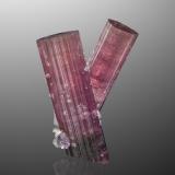 Elbaite (variety rubellite) with Albite (variety cleavelandite)Mina Himalaya, Gem Hill, Distrito Mesa Grande, San Diego County, California, USA8 x 5 x 10 cm / main crystal: 10 cm. (Author: MIM Museum) Elbaite (variety rubellite) with Albite (variety cleavelandite)Mina Himalaya, Gem Hill, Distrito Mesa Grande, San Diego County, California, USA8 x 5 x 10 cm / main crystal: 10 cm. (Author: MIM Museum)