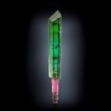 Elbaite (variety verdelite)Concesión Pederneira, São José da Safira, Governador Valadares, Vale do Rio Doce, Minas Gerais, Brasil2 x 2 x 15 cm / main crystal: 14.6 cm. (Author: MIM Museum) Elbaite (variety verdelite)Concesión Pederneira, São José da Safira, Governador Valadares, Vale do Rio Doce, Minas Gerais, Brasil2 x 2 x 15 cm / main crystal: 14.6 cm. (Author: MIM Museum)